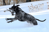 Ophelia Horob Dog Snow 1-23-18 001