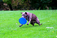 Ophelia Horob dog Frisbee 2018 04