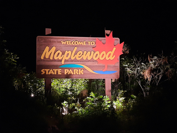Maplewood Camping 2021 11